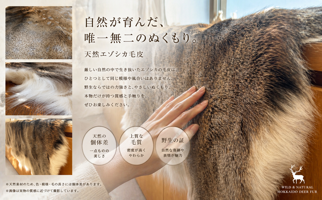 これ一枚でワイルドなお部屋に早変わり♪