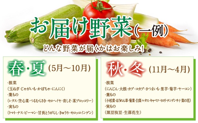 【能勢特産】《農家直送》 べじたぶるぱーくの旬の新鮮野菜詰合せ Sセット (5種類) | べじたぶるぱーく株式会社