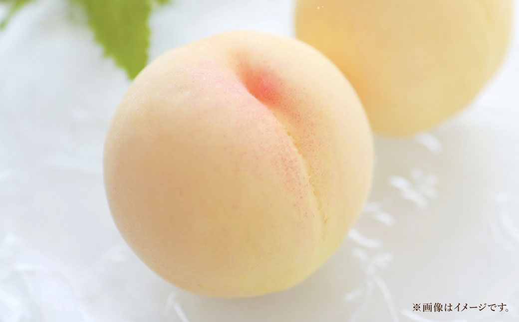 岡山白桃約1.3kg5～6玉