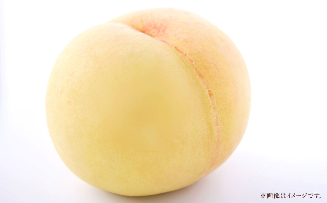 岡山白桃6～8玉約2kg