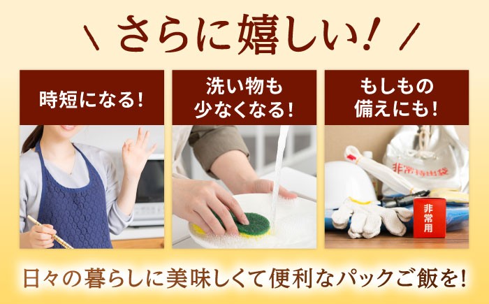 福岡県産 夢つくし パックご飯 計48パック （各200g）
