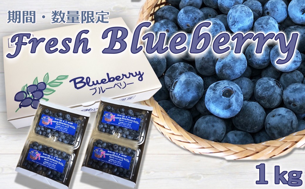 摘んだその日に直送。有機肥料だけで育てた、鴨川の生ブルーベリー。