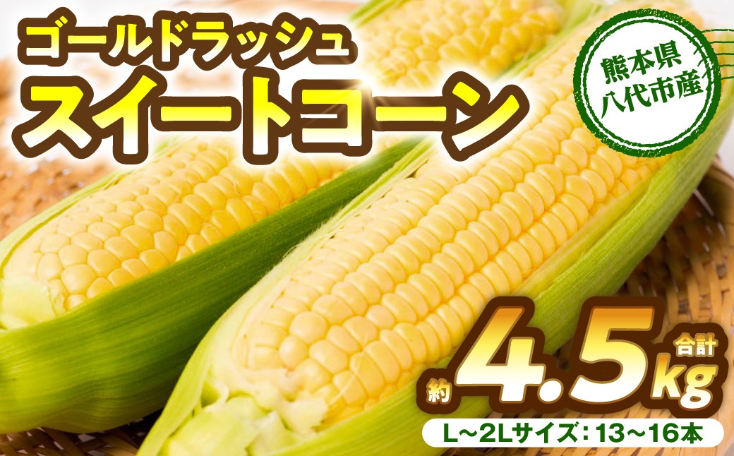 熊本県八代市産 ゴールドラッシュ スイートコーン 約4.5kg