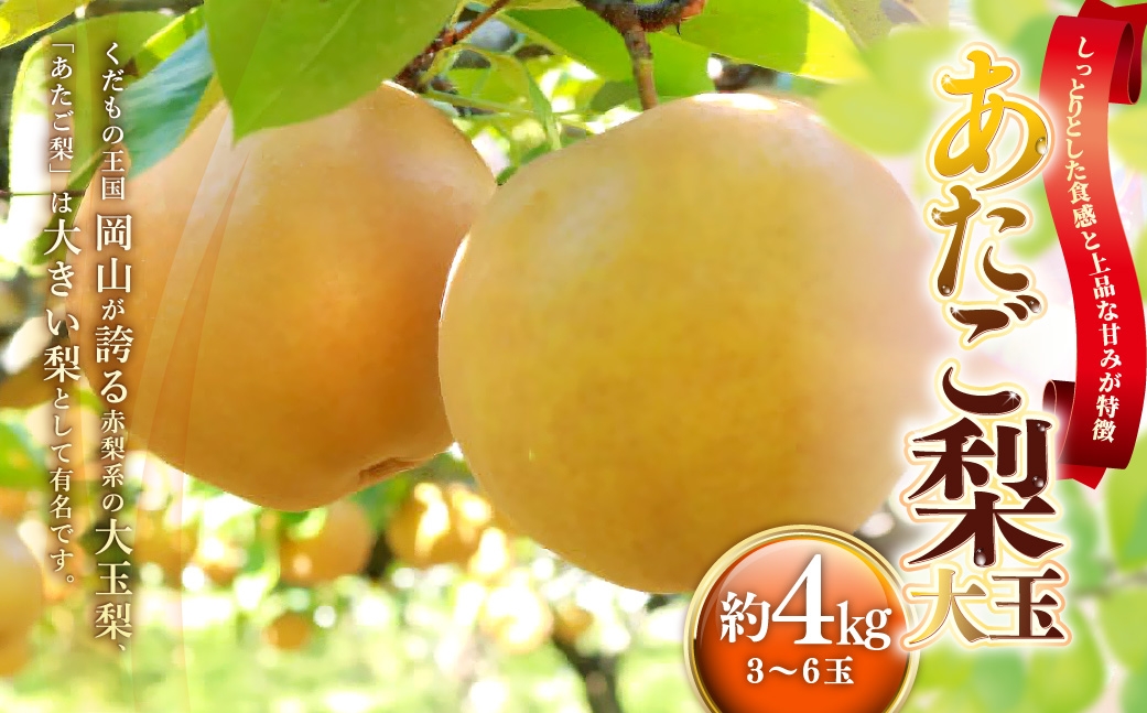 あたご梨約4kg（3～6玉）