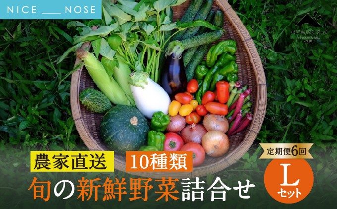 【能勢特産】《農家直送》 べじたぶるぱーくの旬の新鮮野菜詰合せ Sセット (5種類) | べじたぶるぱーく株式会社