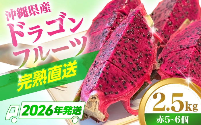 フルーツ ふるーつ Fruit 赤 果肉 レッド ピタヤ トロピカル くだもの 青果 果実 国産 産地直送 産直 果物 火龍果