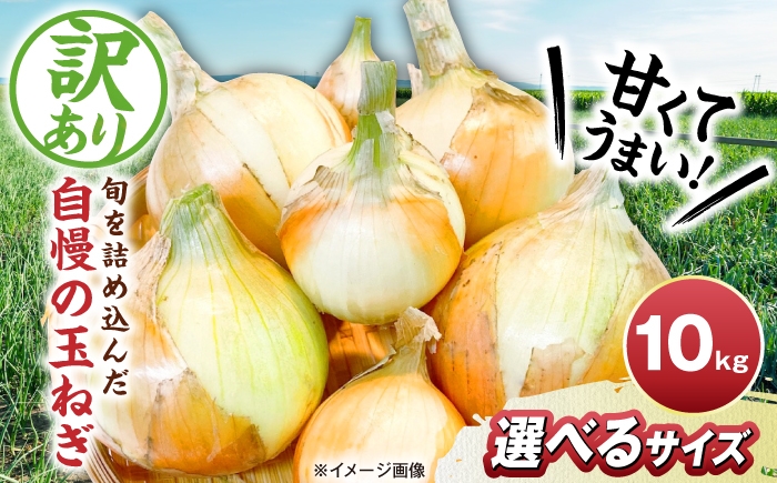 【訳あり】玉ねぎ10kg 玉ねぎ たまねぎ タマネギ 玉葱 オニオン 訳アリ わけあり玉ねぎ 野菜 玉ねぎ 滋賀県 長浜市 人気
