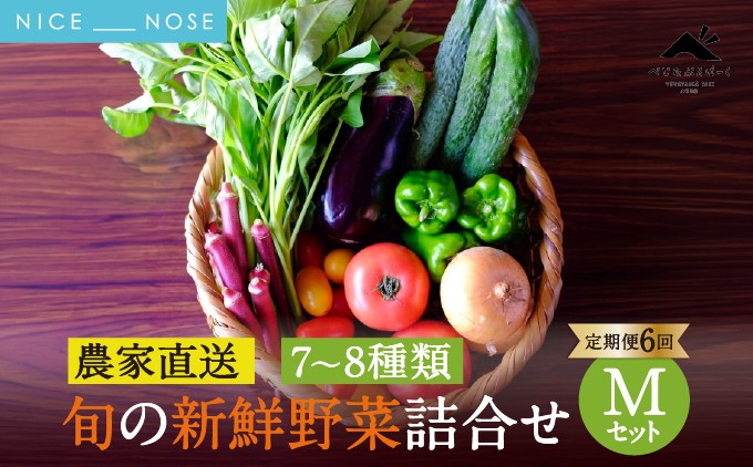 【能勢特産】《農家直送》 べじたぶるぱーくの旬の新鮮野菜詰合せ Mット (5種類) | べじたぶるぱーく株式会社