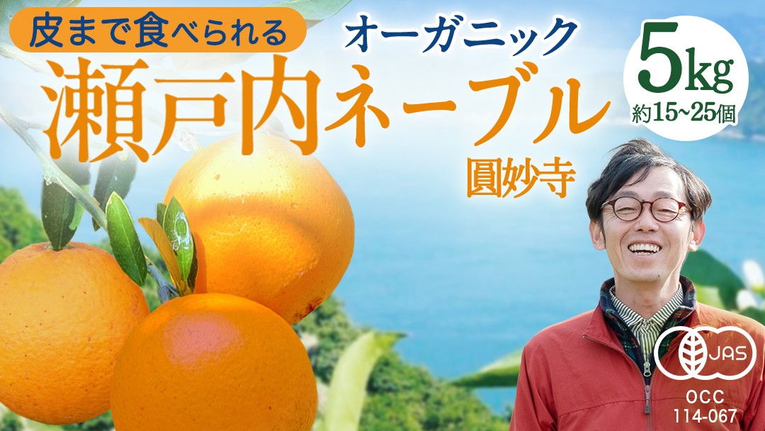 大崎上島産 有機JAS認証！オーガニック圓妙寺ネーブル