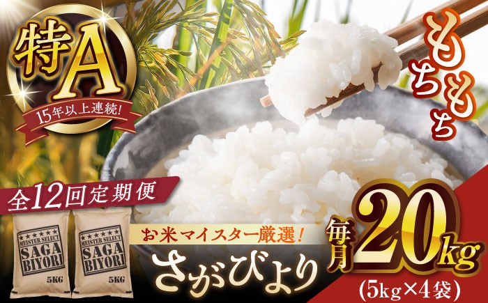 お米 米 ご飯 白米 白ご飯 ごはん コメ 定期便 お弁当 精米 精白米 さがびより