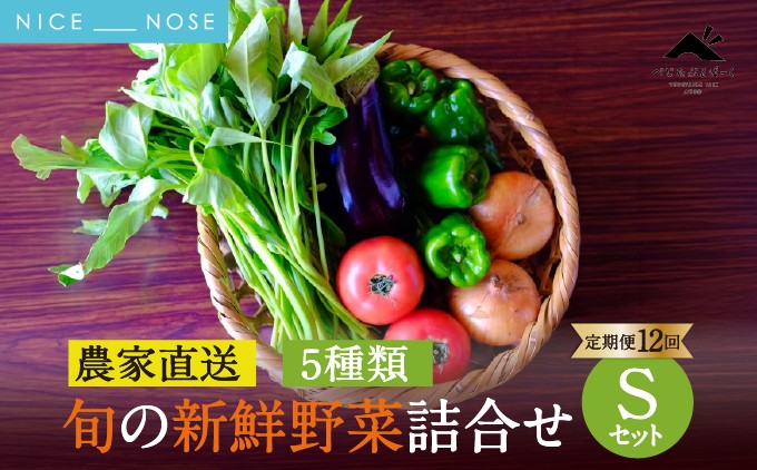 【能勢特産】《農家直送》 べじたぶるぱーくの旬の新鮮野菜詰合せ Sセット (5種類) | べじたぶるぱーく株式会社