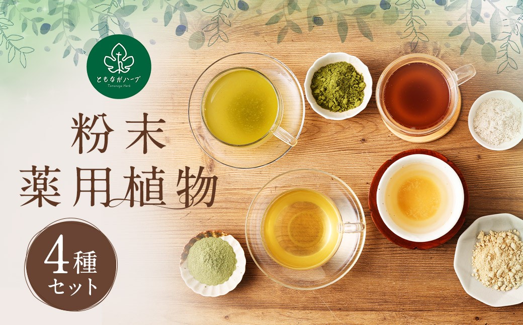 粉末 薬用植物の人気 4種セット 薬草 健康食品 ／ 調味料 ショウガ キクイモ 薬草 手軽 長崎県 長崎市
