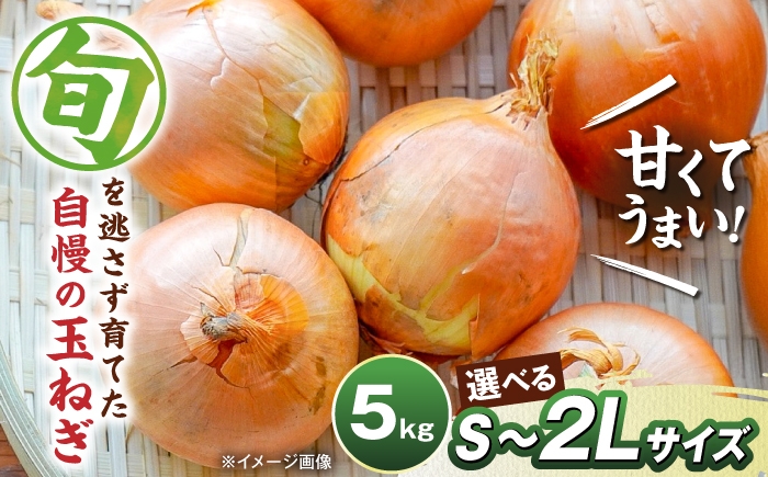 玉ねぎ たまねぎ タマネギ 玉葱 オニオン 旬 野菜 甘い 旨味 オニオンスープ カレー 滋賀県 長浜市 人気 おすすめ