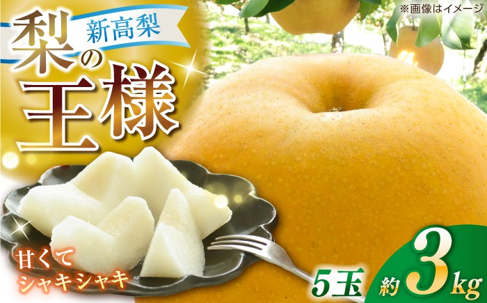 高知県 高知市 高知 針木 新高梨 梨 なし ナシ 和梨 3㎏ 3キロ 果物 フルーツ デザート 贈り物 ギフト プレゼント