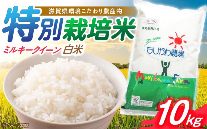 滋賀県 低農薬栽培 ミルキークイーン 白米 10kg 米 お米 おこめ コメ ごはん ご飯 みるきーくいーん 人気 おすすめ