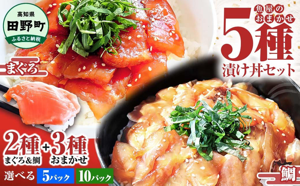 これが魚屋の漬け丼だ！魚屋のおまかせ 5種 漬け丼セット