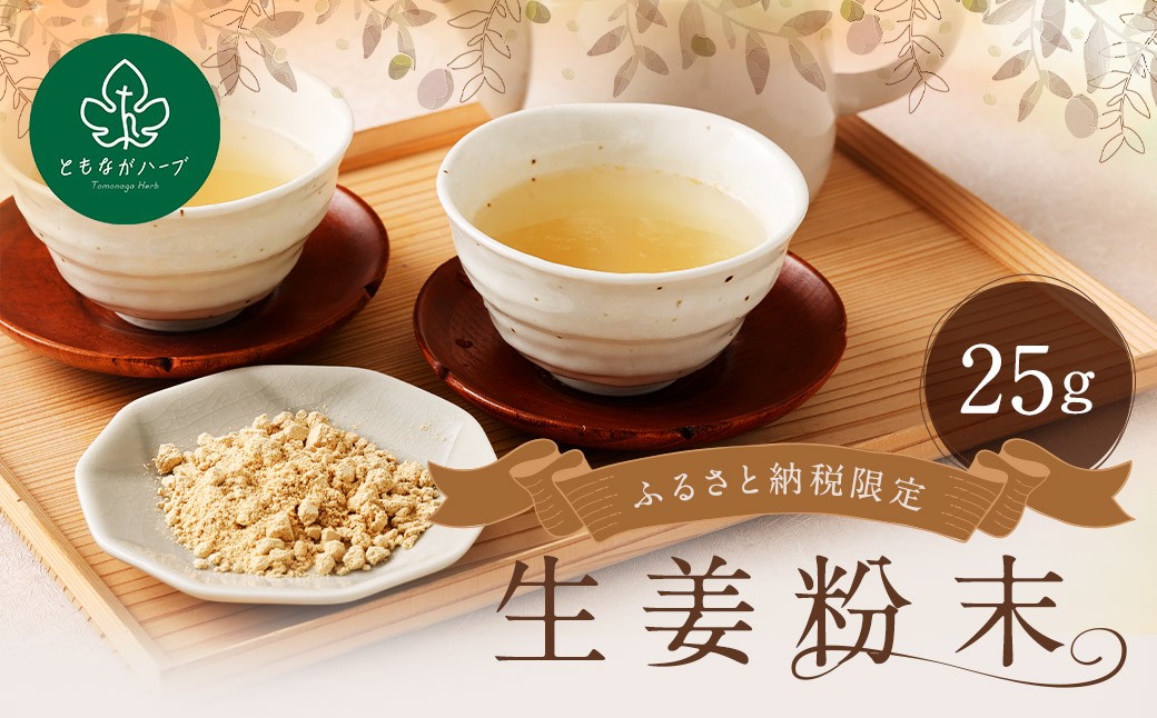 生姜粉末25gアルミ袋 ／ 調味料 生姜 しょうが ショウガ パウダー 粉 健康 健康食品 長崎県 長崎市