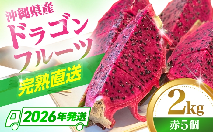 フルーツ ふるーつ Fruit 赤 果肉 レッド ピタヤ 青果 果実 国産 産地直送 産直 果物 火龍果 トロピカル くだもの