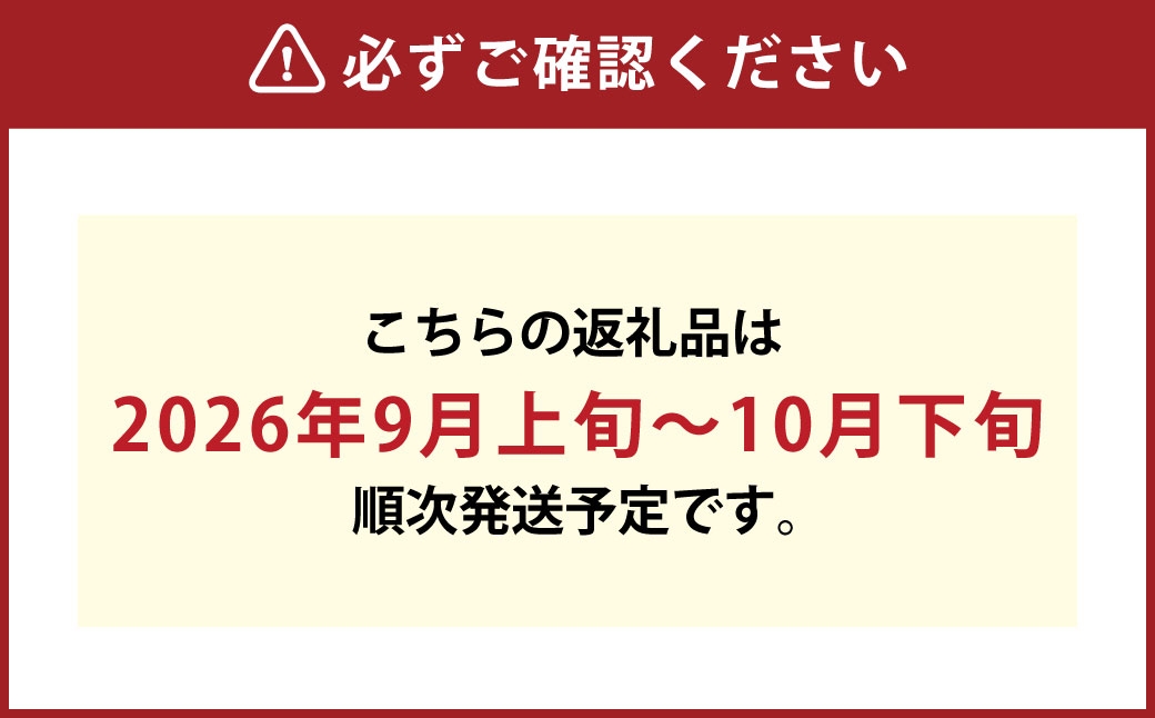 岡山県産桃太郎ぶどう露地栽培1房680g以上