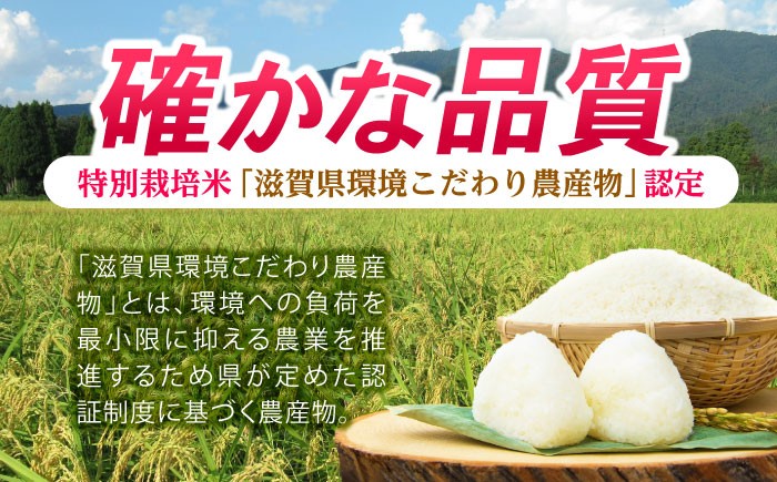 滋賀県 低農薬栽培 ミルキークイーン 白米 10kg 米 お米 おこめ コメ ごはん ご飯 みるきーくいーん 人気 おすすめ