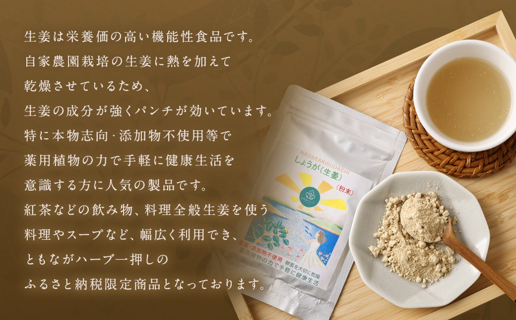 生姜粉末25gアルミ袋 ／ 調味料 生姜 しょうが ショウガ パウダー 粉 健康 健康食品 長崎県 長崎市