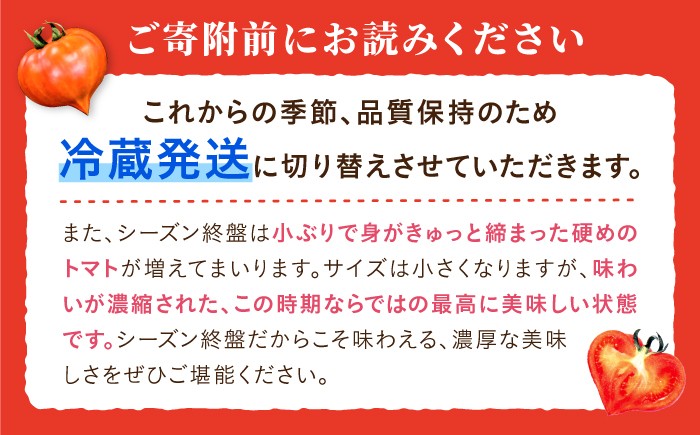 トマト とまと フルーツトマト 訳あり