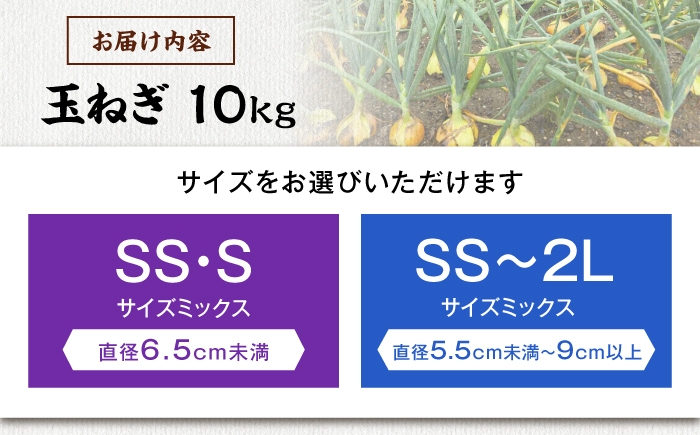 【訳あり】玉ねぎ10kg 玉ねぎ たまねぎ タマネギ 玉葱 オニオン 訳アリ わけあり玉ねぎ 野菜 玉ねぎ 滋賀県 長浜市 人気