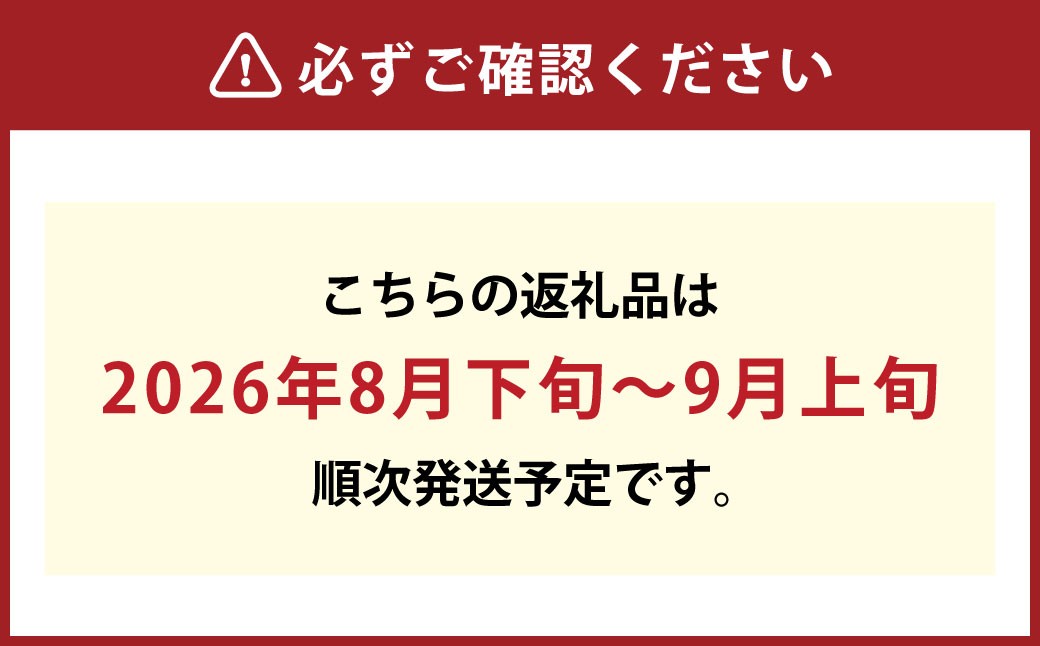 JA晴れの国岡山 倉敷市船穂町産 シャインマスカット 晴王 1房（700g以上）