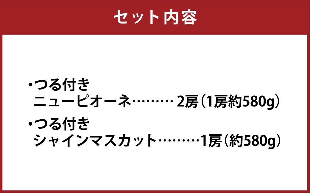 つる付きニューピオーネ＆晴王シャインマスカットハウス栽培Bセット