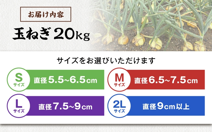 玉ねぎ たまねぎ タマネギ 玉葱 オニオン 旬 野菜 甘い 旨味 オニオンスープ カレー 滋賀県 長浜市 人気 おすすめ