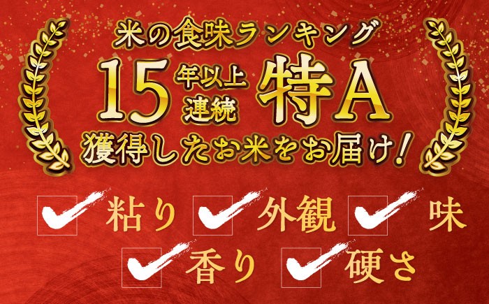 お米 米 ご飯 白米 白ご飯 10㎏ お弁当 精白米 精米