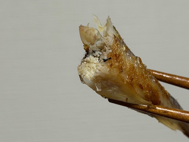 卵もしっかり入っています！