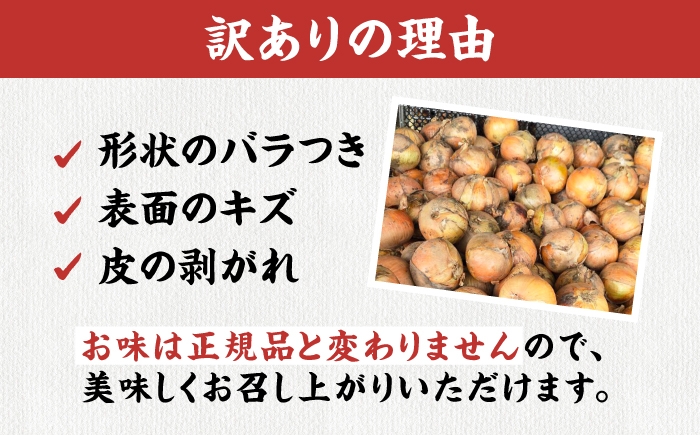 【訳あり】玉ねぎ10kg 玉ねぎ たまねぎ タマネギ 玉葱 オニオン 訳アリ わけあり玉ねぎ 野菜 玉ねぎ 滋賀県 長浜市 人気