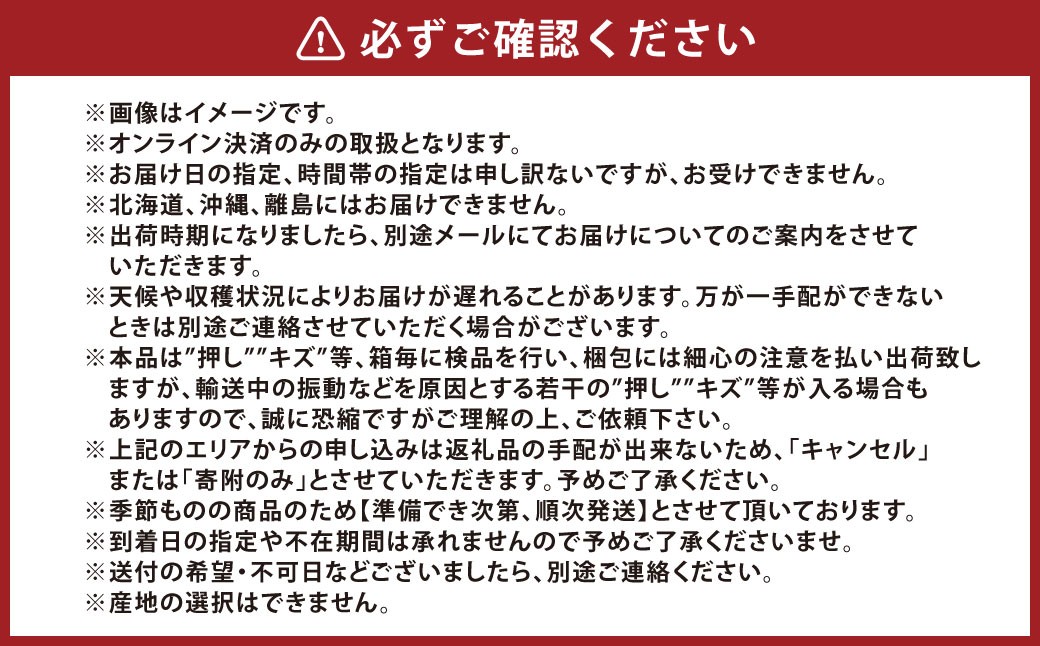 JA晴れの国岡山 倉敷市船穂町産 シャインマスカット 晴王 1房（700g以上）