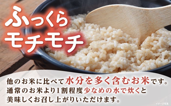 滋賀県 低農薬栽培 ミルキークイーン 玄米 5kg 米 お米 玄米 ご飯 ごはん ゴハン コメ 人気 おすすめ みるきーくいーん