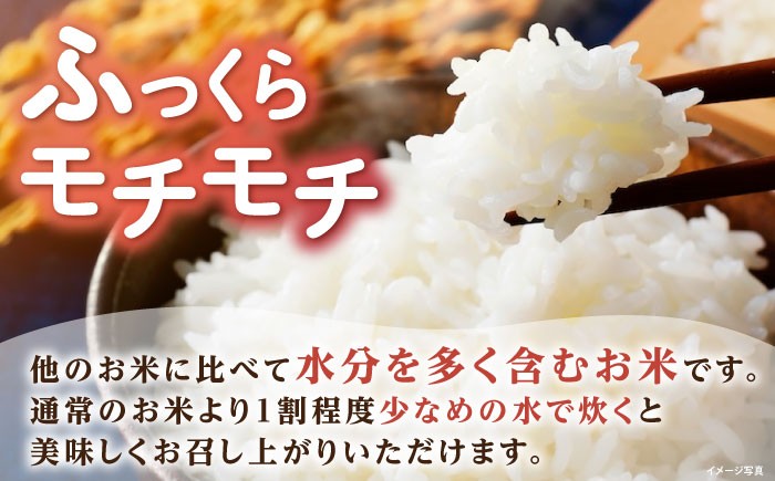 滋賀県 低農薬栽培 ミルキークイーン 白米 5kg 米 お米 白米 ご飯 ごはん ゴハン 人気 おすすめ 5キロ
