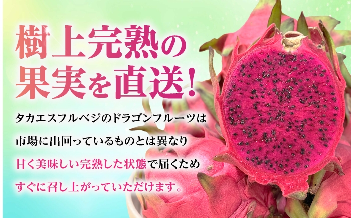 フルーツ ふるーつ Fruit 赤 果肉 レッド ピタヤ トロピカル くだもの 青果 果実 国産 産地直送 産直 果物 火龍果