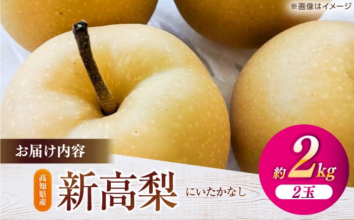 高知 針木 新高梨 梨 和梨 果物 フルーツ デザート