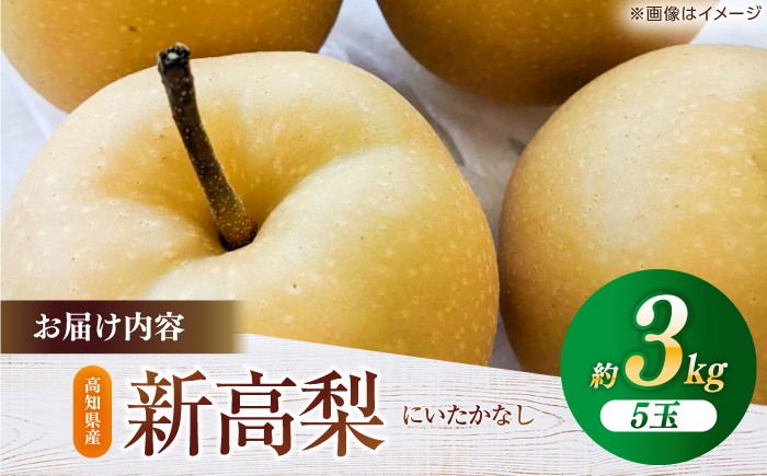 高知県 高知市 高知 針木 新高梨 梨 なし ナシ 和梨 3㎏ 3キロ 果物 フルーツ デザート 贈り物 ギフト プレゼント