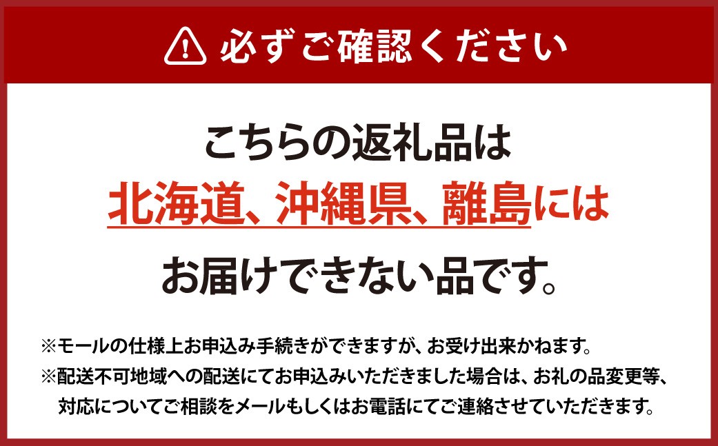 訳あり晴王つる付きシャインマスカット3房（1房530g以上）露地栽培