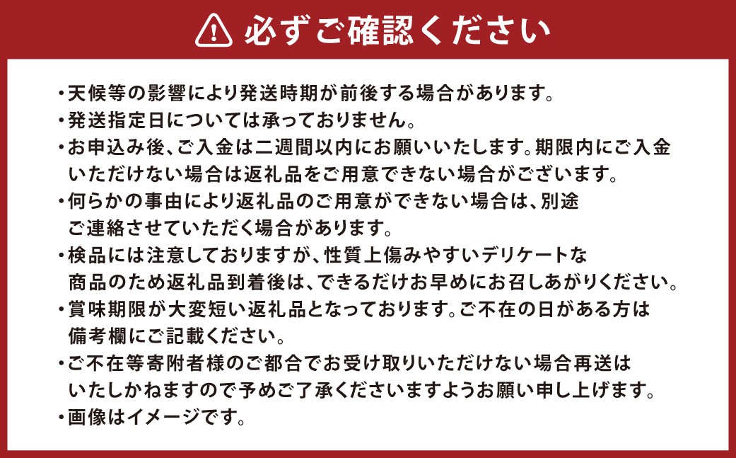 訳あり晴王つる付きシャインマスカット3房（1房530g以上）露地栽培