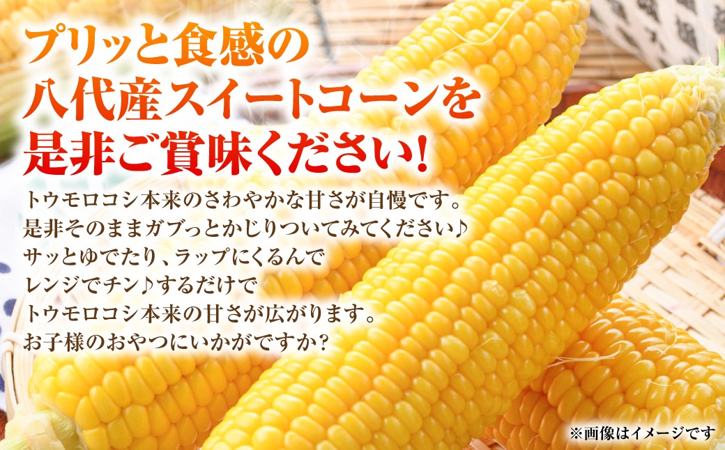 トウモロコシの本来の甘さが広がります。お子様のおやつにいかがですか？