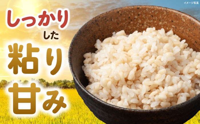 滋賀県 低農薬栽培 ミルキークイーン 玄米 5kg 米 お米 玄米 ご飯 ごはん ゴハン コメ 人気 おすすめ みるきーくいーん