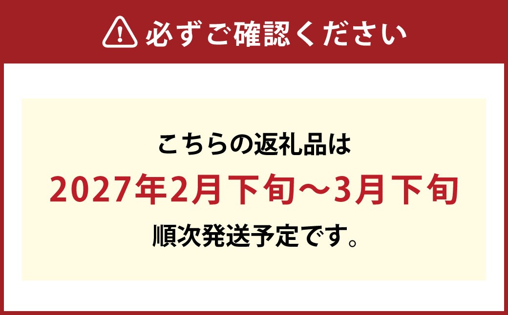 春限定！ミモザとユーカリの花束/フレッシュ