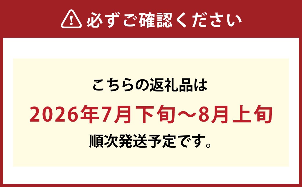 JA晴れの国岡山 倉敷市船穂町産 マスカット オブ アレキサンドリア 1房（750g以上）