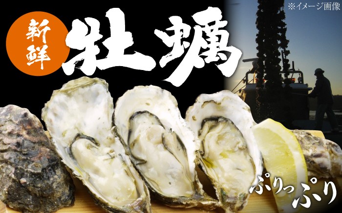 牡蠣 むき身 殻付き かき カキ 生牡蠣 広島牡蠣 オイスター カキフライ