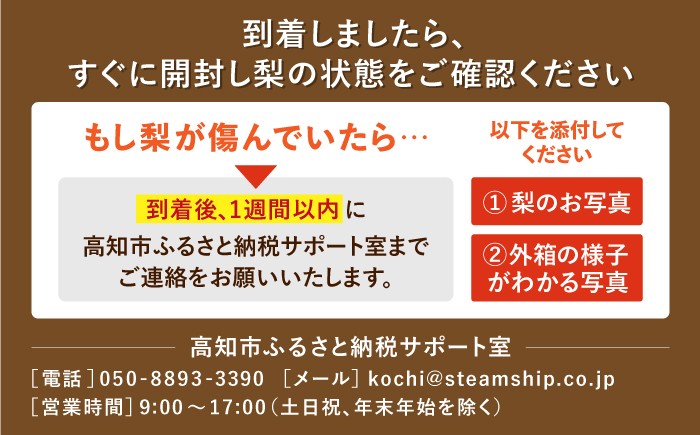 高知 針木 新高梨 梨 和梨 果物 フルーツ デザート