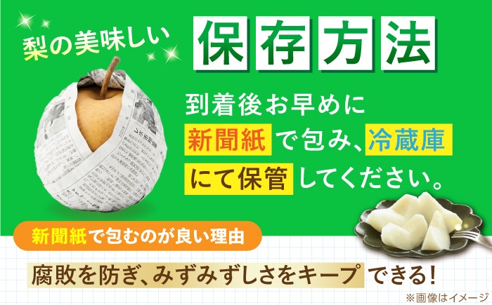 高知県 高知市 高知 針木 新高梨 梨 なし ナシ 和梨 3㎏ 3キロ 果物 フルーツ デザート 贈り物 ギフト プレゼント