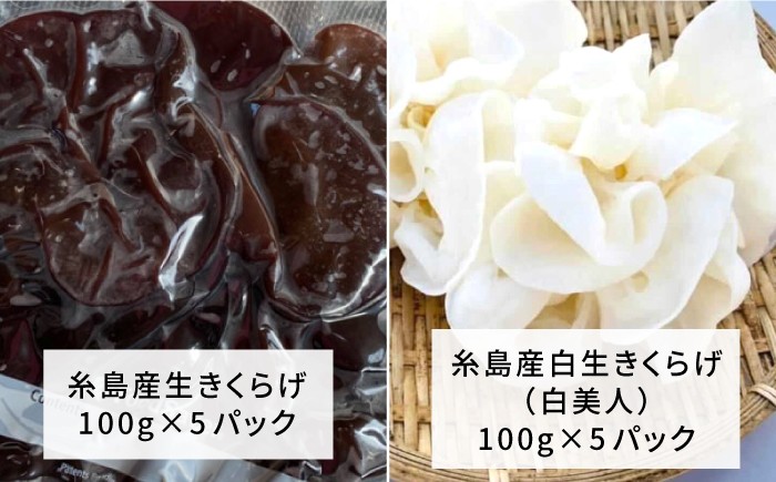きくらげ 国産 明太 明太子 ご飯のお供 ごはんのおとも 辛子明太子 きのこ
