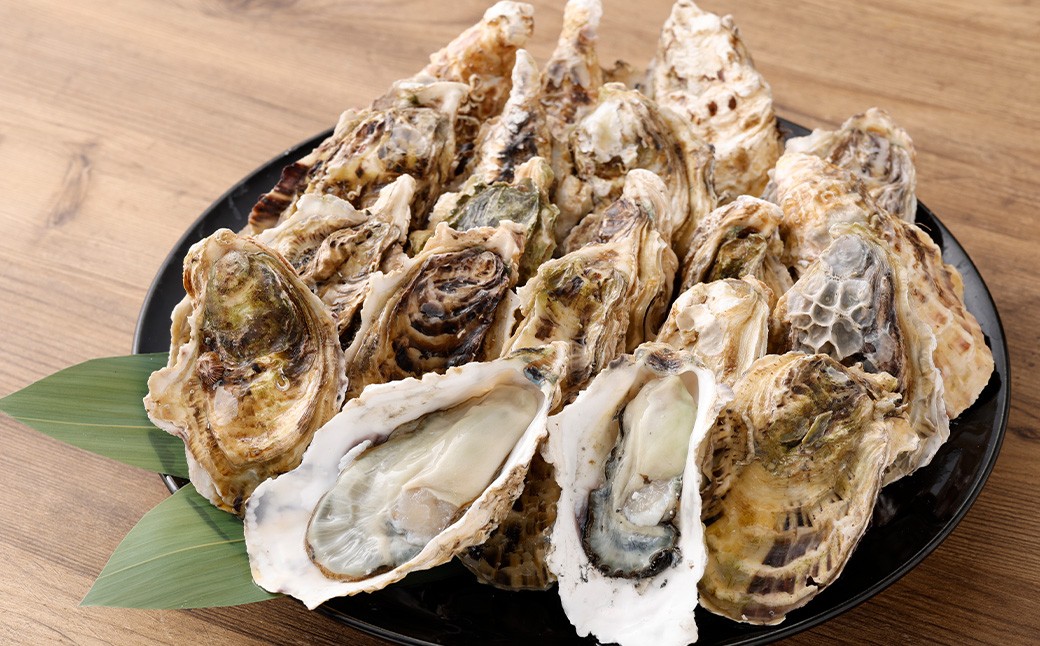 戸石町産 殻付き牡蠣 約2kg（約20個／加熱用）